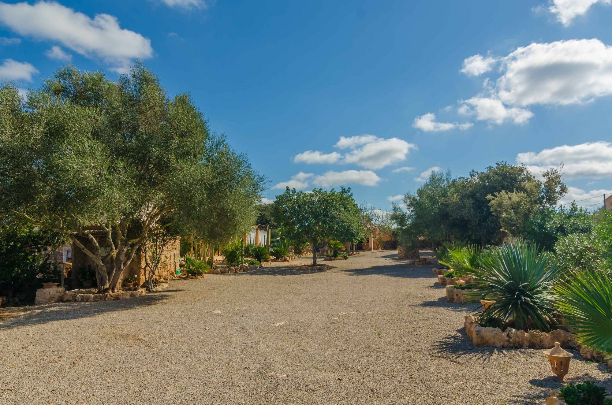 Villa Ca Na Carme